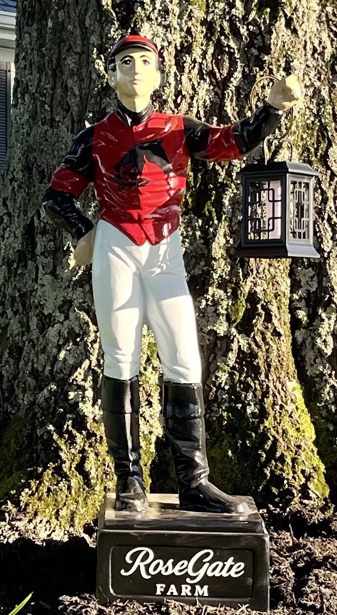 Racing Silks